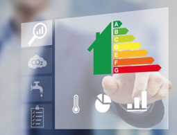 Energy Consumption